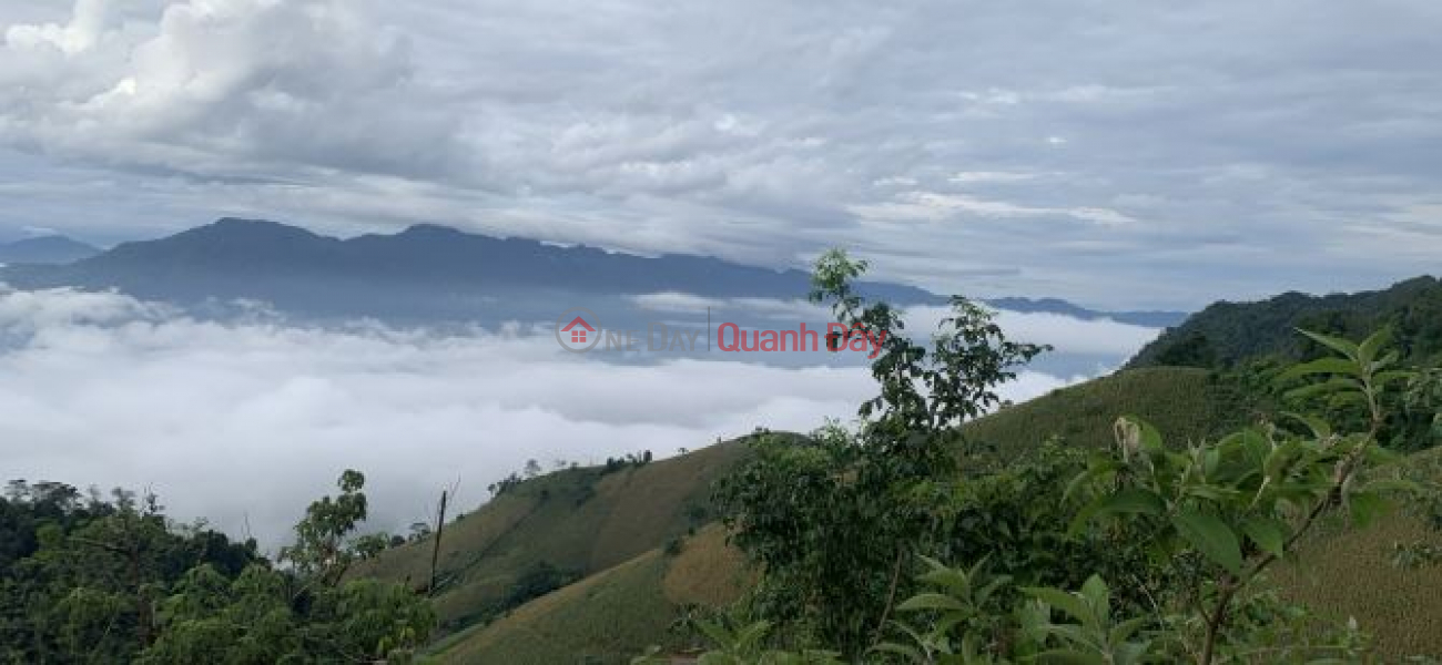 Property Search Vietnam | OneDay | Residential | Sales Listings Need to sell a plot of land in a prime location in Chieng Son commune, Moc Chau, with a pink book, area of over 2 hectares, frontage of over