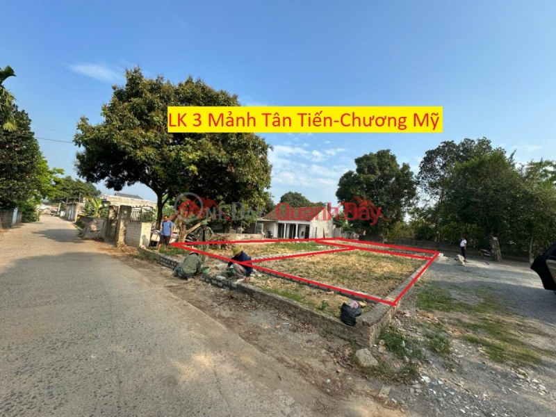 OWNER SELLS 3 LOTS OF LAND IN TAN TIEN-CHUONG MY-HANOI Sales Listings