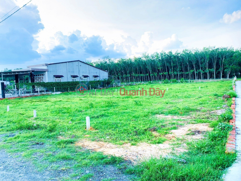 Extremely HOT : Ground Ground Roc B, Thanh Duc, Go Dau, Tay Ninh Gia | Vietnam | Sales | đ 900 Million