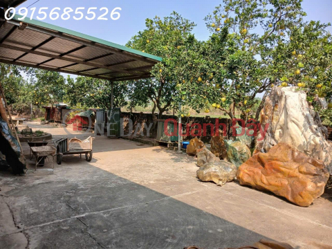 Old and need to sell a garden house of about 1,800m2 of 50-year-old land in Van Con commune, Hoai Duc _0