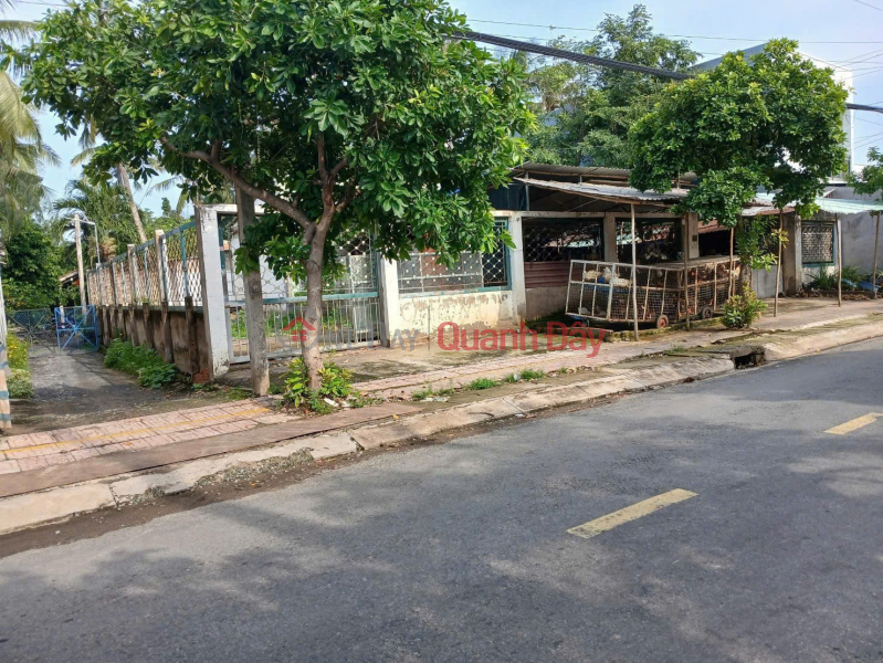PROFITABLE INVESTMENT – OWNER NEEDS TO SELL 3 PLOTS OF LAND in Phuoc Van Commune, Can Duoc District, Long An Province Sales Listings