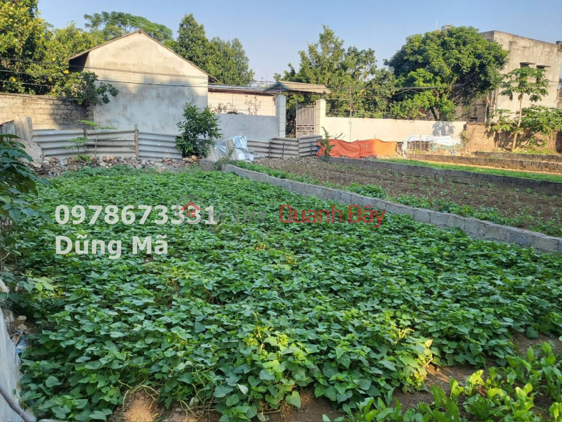 OWNER SELLS LOT OF LAND 74.8 METERS IN DONG SON-CHUONG MY, Vietnam, Sales, đ 1.8 Billion