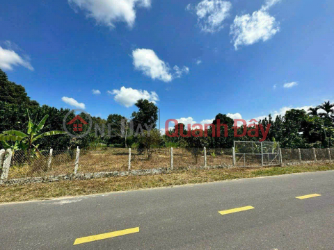 Đất mặt tiền Tỉnh Lộ 2, Xã Diên Thọ, Huyện Diên Khánh, Khánh Hòa - Đất có sẵn vườn cây trái _0