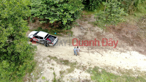 1.5 hectares of Dien Tan Dien Khanh price 790 million O79-53.53.53O _0