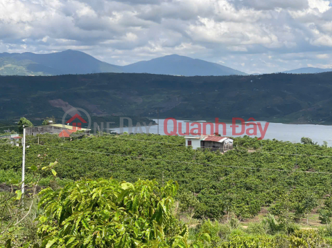 CHÍNH CHỦ CẦN BÁN NHANH LÔ CAFE VIEW HỒ THUỶ ĐIỆN Tại Tân Hà, Lâm Hà, Lâm Đồng - GIÁ SIÊU TỐT _0