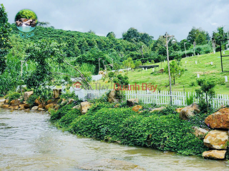 Buy Ready-to-Resume Suoi Stream Land From Only 890 Million, Commit to Renting Back for 2 Years | Vietnam | Sales, đ 890 Million