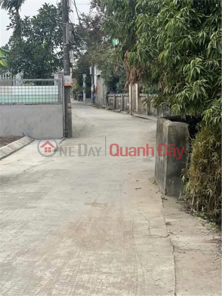 đ 635 Million PRIME LAND – GOOD PRICE - OWNER NEEDS TO SELL A PLOT OF LAND IN QUAN TRANG, BATT TRANG, AN LAO, HAI PHONG CITY