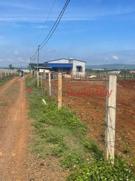 Bán 11140m2 đất N\'Thôn Hạ Đức Trọng Lâm Đồng 11 tỷ | Việt Nam Bán đ 11 tỷ