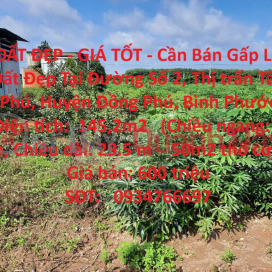 BEAUTIFUL LAND - GOOD PRICE - Urgent Sale Beautiful Land Lot In Tan Phu Town, Dong Phu District, Binh Phuoc _0