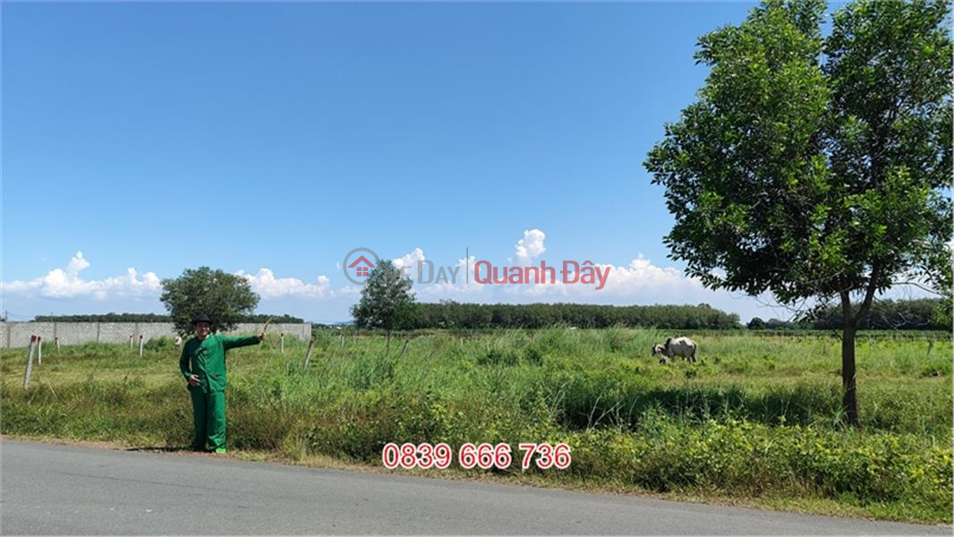 Property Search Vietnam | OneDay | Residential Sales Listings, Front Land of Suoi Da Commune: Dream House Is Here