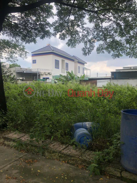 Property Search Vietnam | OneDay | Residential | Sales Listings OWNER Needs to Sell Land in Good Location in Binh Minh Commune, Trang Bom District, Dong Nai