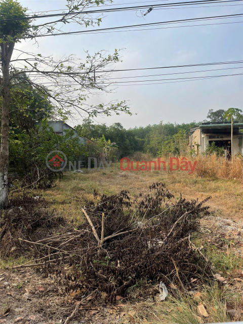 Land owned by the seller - Frontage on Provincial Road 757, Thanh Luong Commune, Binh Long Town, former Binh Phuoc Province. _0