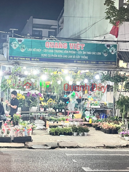 Quang Viet’s bonsai - 44 Le Thanh Nghi (Cây Cảnh Quang Việt - 44 Lê Thanh Nghị),Hai Chau | (1)