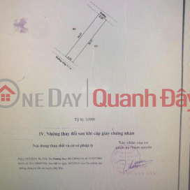 Urgent sale of a plot of land with a street frontage in Di Su Ward, Hung Yen Province, area 116m2, investment price. _0