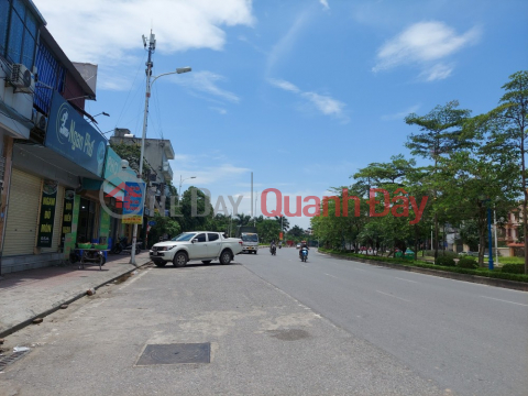 Super Hot land lot on Co Linh street, Area 100m2, MT6.7m, Neighbor to Aeon Mall, Potential Investment. _0