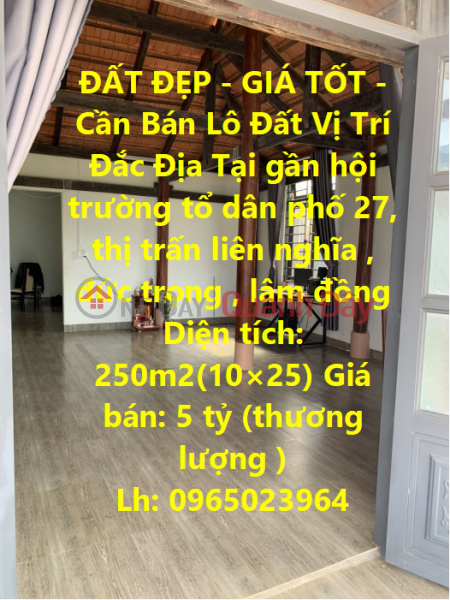 BEAUTIFUL LAND - GOOD PRICE - Land Lot For Sale Prime Location In Lien Nghia Town, Duc Trong Sales Listings