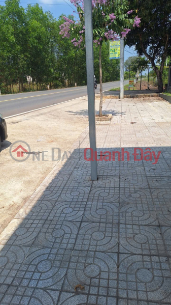 HOT LAND FOR SALE - GREAT PRICE - OWNER SELLING LAND in Tri An Commune, Vinh Cuu District, Dong Nai Province, Vietnam Sales, đ 800 Million