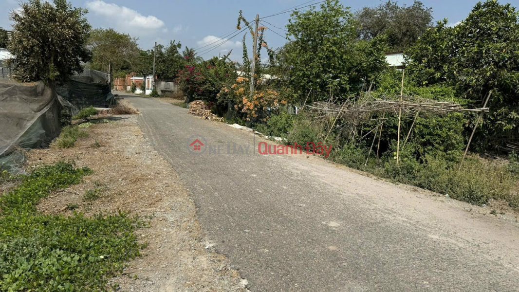 Owner needs to sell land at a cheap price near Nguyen Thi Lang Street, Tan Phu Trung Commune, Cu Chi District, Ho Chi Minh City. Sales Listings