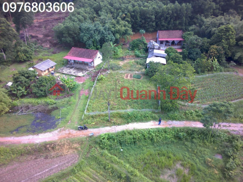 EXTREMELY RARE: 700 m2 land plot for sale with 150 TC in Phu Binh Thai Nguyen where industrial park is growing, ring road _0