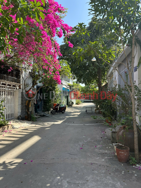 OWNER SELLING LAND IN NHÀ BÈ – ALLEY 387/29 PHAM HUU LAU, GOOD PRICE Sales Listings
