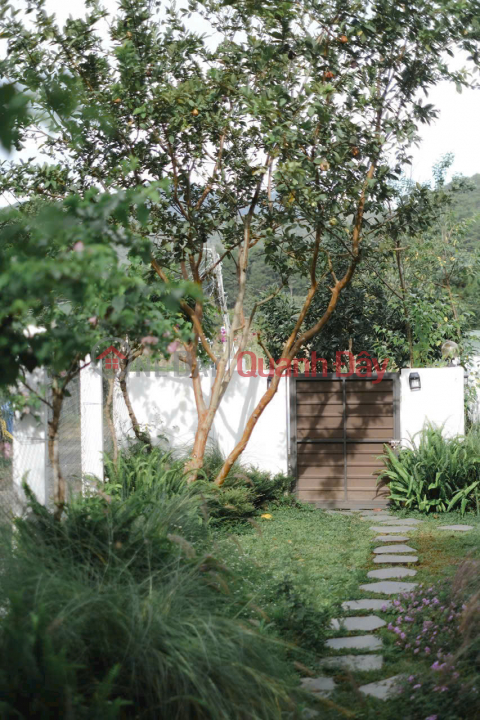 Cần bán lô đất ngang 30m, diện tích 2000m2 có 550m2 thổ cư Đức Trọng _0