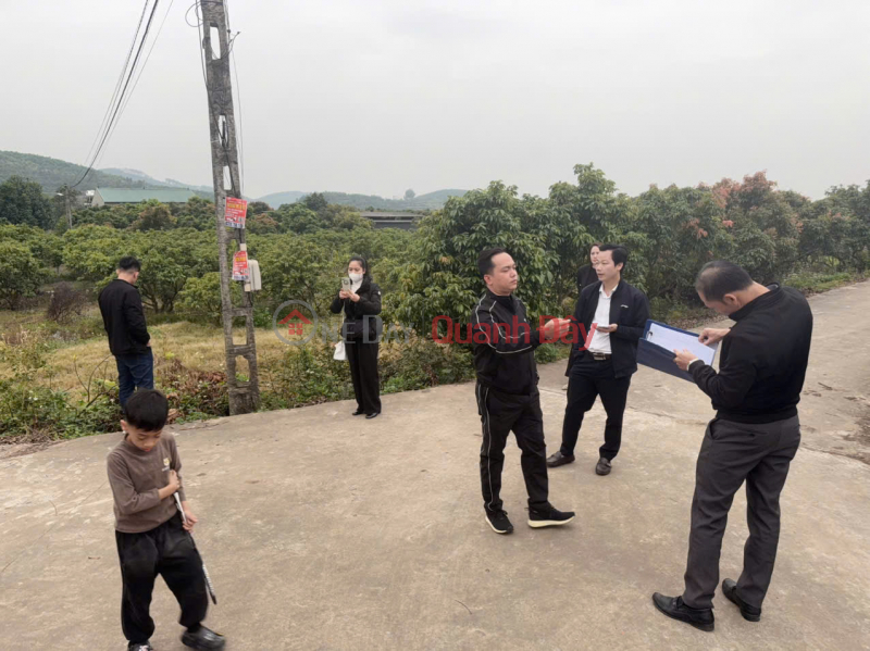 đ 580 Million | LAND PLOT IN CHŨ, BAC NINH, PRICE 580 MILLION VND, 480M2, POTENTIAL INVESTMENT. Nguyen Hung Real Estate - 0989333012