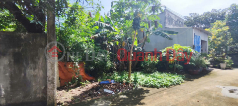 Chính chủ bán đất Phước Tân, gần bệnh viện phổi Đồng Nai - 240m2, thổ cư, sổ riêng, giá 6,7 tỷ _0