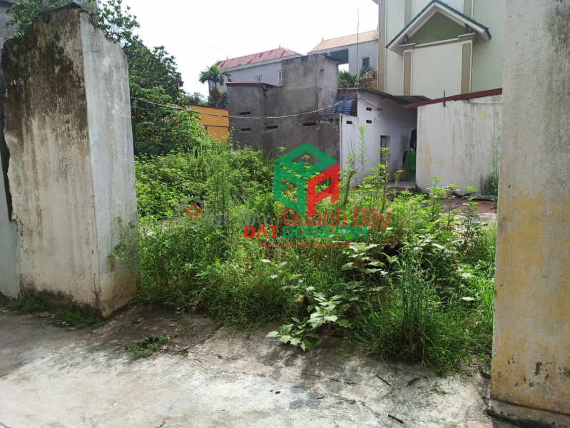 Land for sale in Thuy Ha Bac Hong - 50m - Corner lot - Clear road - Car | Vietnam Sales, ₫ 1.4 Billion