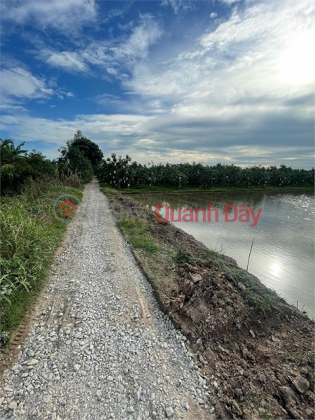 BEAUTIFUL LAND - GOOD PRICE - Land Lot For Sale Location In Hoi An town, Cho Moi, An Giang | Vietnam Sales, đ 1.95 Billion