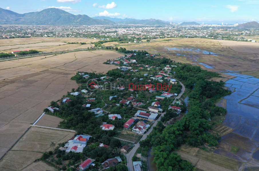 Property Search Vietnam | OneDay | Nhà ở, Niêm yết bán | Bán nhanh đất Diên Bình, Diên Khánh, Khánh Hòa - Mặt tiền view sông - Giá chỉ 1 tỷ 379