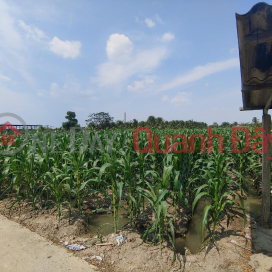 OWNER FOR SALE Lot of Land with Beautiful Location at Binh Long Hamlet, Thanh Binh Commune, Cho Gao, Tien Giang _0