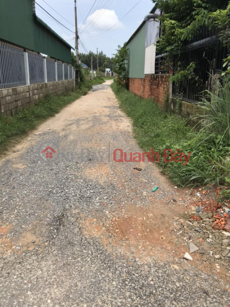 Property Search Vietnam | OneDay | Residential, Sales Listings, Need Thanh Ly Beautiful Land Lot Lagi Town - Binh Thuan