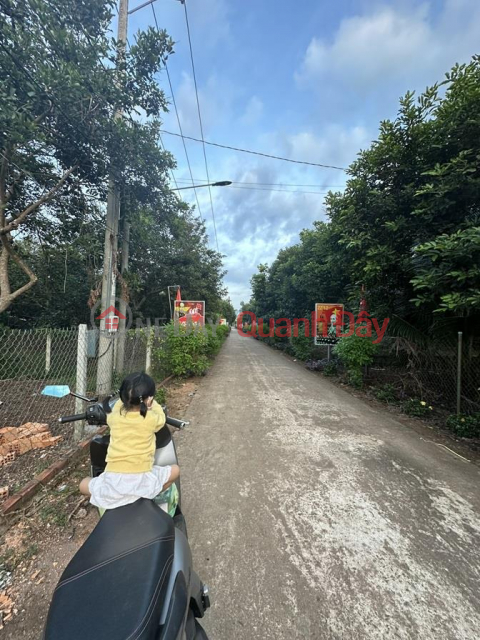 OWNER - QUICK SELL LAND LOT BEAUTIFUL LOCATION In the East area of Bao Hoa commune, Xuan Loc District, Dong Nai province _0