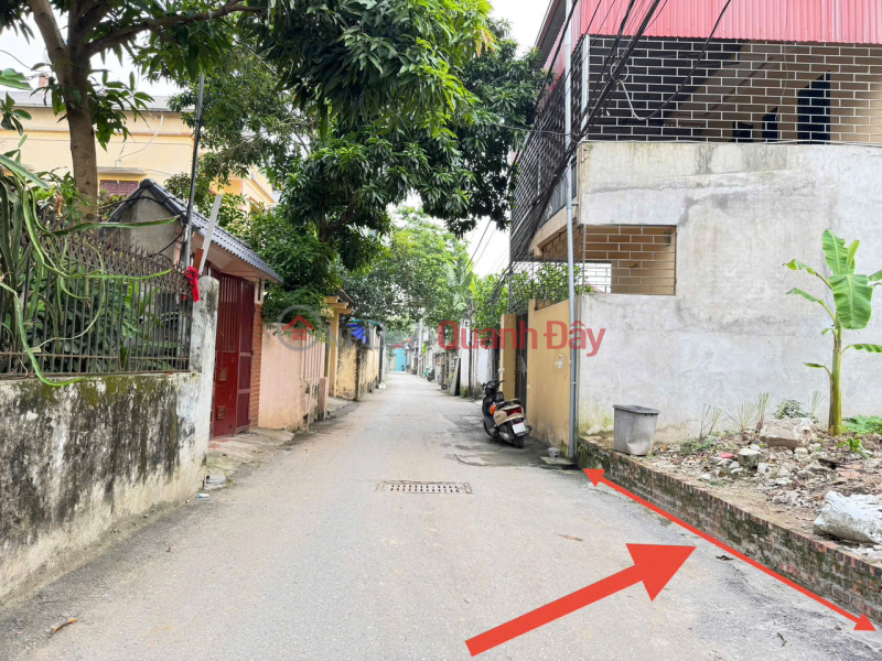 Bán 43m đất tổ 8, Chi Đông, Mê Linh, HN. Đường thông, oto qua lại, MT kinh doanh | Việt Nam Bán | đ 3,5 tỷ