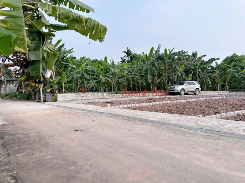 đ 1.3 Billion, Beautiful Land - Good Price - Need to Sell Quickly 2 Plots of Land in My Duc - Chuong My, Hanoi City.