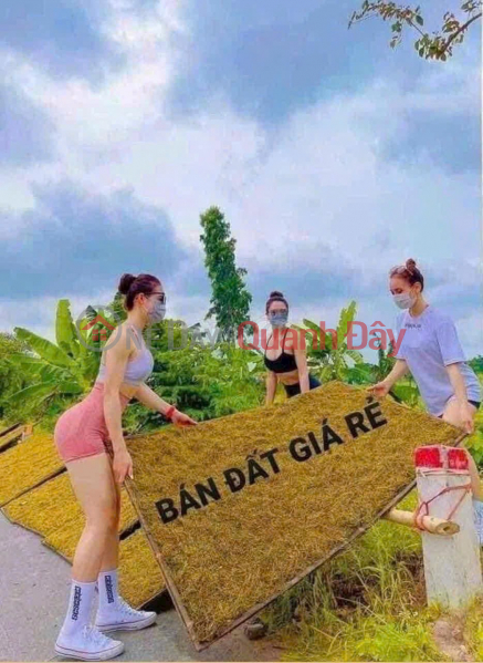 MẢNH ĐẤT VÀNG GIỮA LÀNG ĐÀO XUYÊN 57m2 CHỈ 3,9 TỶ 
Giá đầu tư cực ngọt – Xuống tiền là có lãi ngay! Niêm yết bán
