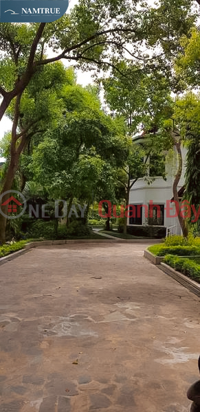 BÁN ĐẤT VÀNG NGÕ NGỌC THỤY, LONG BIÊN - 3 MẶT THOÁNG - ĐẦU TƯ - KINH DOANH - DÒNG TIỀN, Việt Nam Bán, đ 210 tỷ