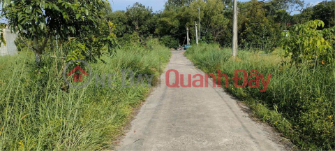 GOOD PRICE GOOD PRICE - OWNER Needs to Sell Land Lot Quickly Located in Chon Thanh Town, Binh Phuoc Province _0