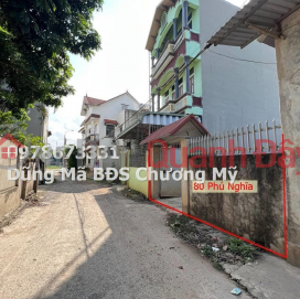 PRICE ONLY 2TY1 TO OWN MAIN BUSINESS LAND LOT IN PHU NGHIA-CHUONG MY _0