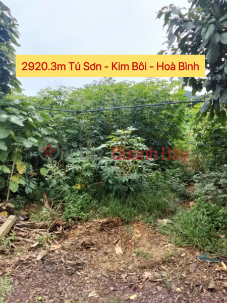 OWNER SELLS BEAUTIFUL LAND LOT OF 2920.3M IN TU SON-KIM BOI HOA BINH Sales Listings