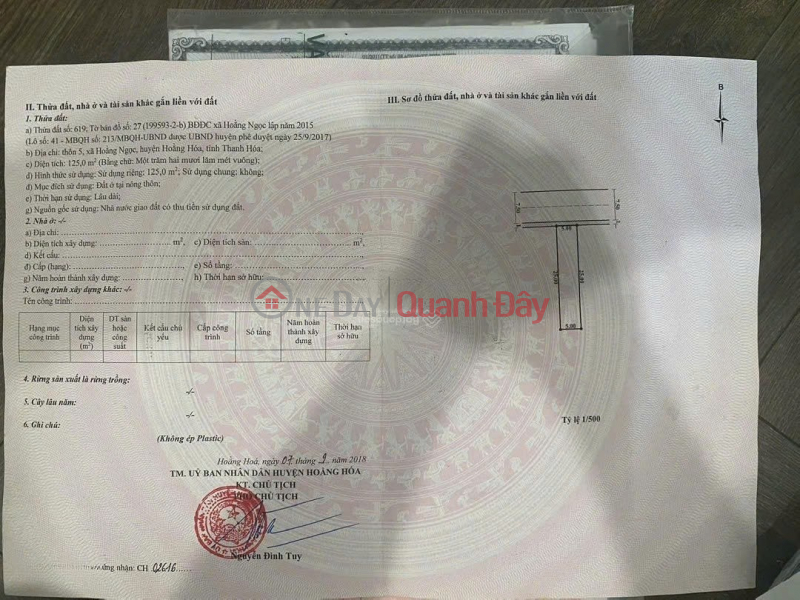 PRIME LOCATION - GREAT PRICE - LAND PLOT FOR SALE IN A BEAUTIFUL LOCATION IN HOANG NGOC COMMUNE, HOANG HOA PROVINCE, THANH HOA PROVINCE Sales Listings