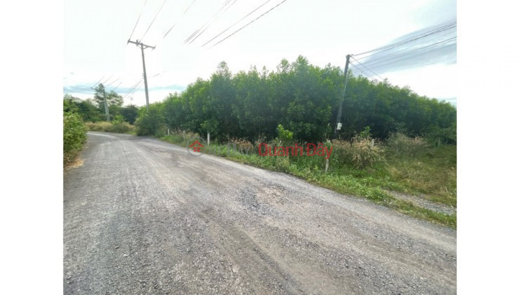 ₫ 16 Billion Land for sale in Long Phuoc commune, Long Thanh district, Dong Nai. Contact 0918904615.