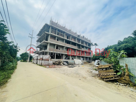 OWNER NEEDS TO SELL 4 LOT OF LAND QUICKLY IN Thach That - Hanoi _0