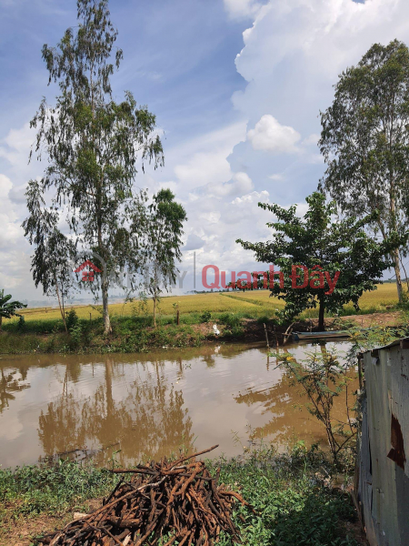 Property Search Vietnam | OneDay | Residential | Sales Listings OWNER Needs to Sell Rice Field Plot Quickly, Beautiful Location in Tri Ton, An Giang