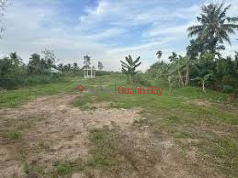 Owner urgently needs to transfer agricultural land plot at 1 lane of Duong Ky Hiep street, Ward 2, Soc Trang city, Soc Trang province Sales Listings