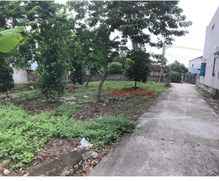 ĐẤT ĐẸP - MẶT TIỀN - Bán GẤP Lô Đất Tiềm Năng Tại Thôn Phú Thanh, xã An Phú (cũ),Hà Nội, Việt Nam Bán, đ 3 tỷ