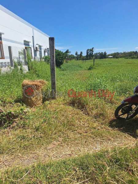 đ 650 Million BEAUTIFUL LAND - GOOD PRICE OWNER NEEDS TO SELL QUICKLY beautiful land - good price in Ba Tri district, Ben Tre province