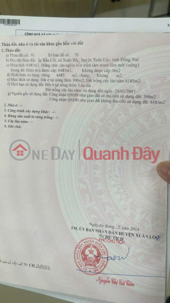 Property Search Vietnam | OneDay | Residential | Sales Listings | Owner Needs to Sell Land in Sao Commune, Xuan Bac, Xuan Loc District, Dong Nai Province.