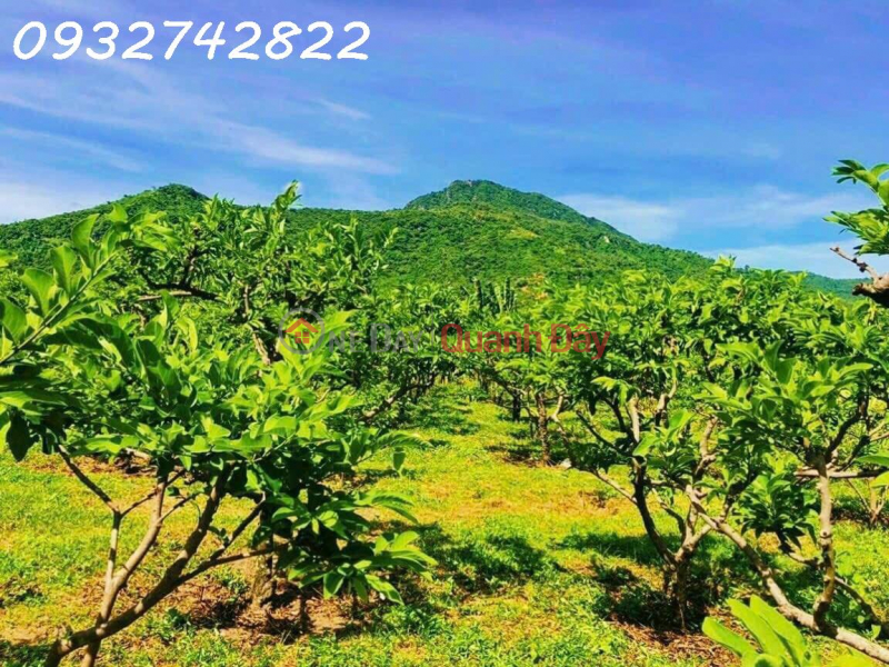 Property Search Vietnam | OneDay | Residential, Sales Listings For sale 950m2 of land on front road Lap Dinh - Suoi Mon, Cam An Nam, Cam Lam, investment price