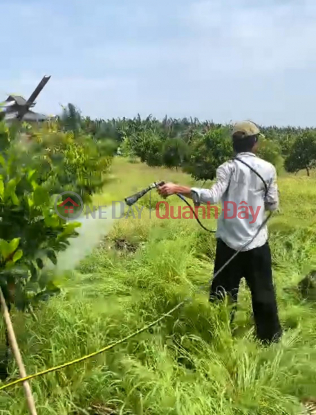 Dat Mau - Fruit Garden, Phu Tan Commune, Dinh Quan District, Dong Nai Sales Listings